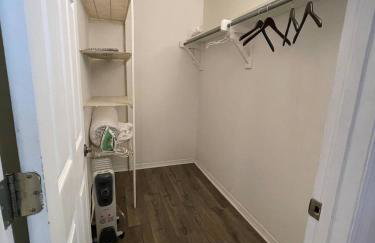 Little Carnation - Foto 12