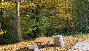 Siedlisko Wyżne - Foto 3