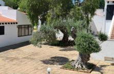 Pedras D'el Rei - Relax Estúdio - Foto 18