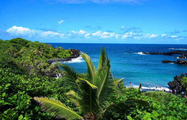 Tour por la carretera de Hana - Foto 4