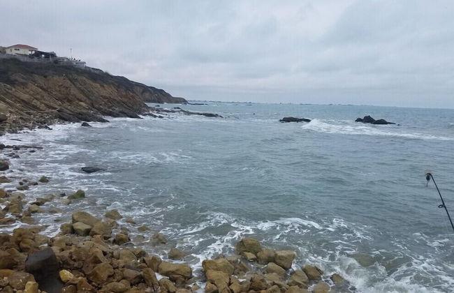 Departamento 1304 Ocean Club Playas - Foto 14