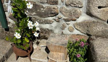 Casinha - Foto 5, Garden, Garden view