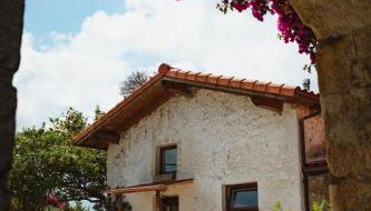 La casa de los árboles - Foto 1