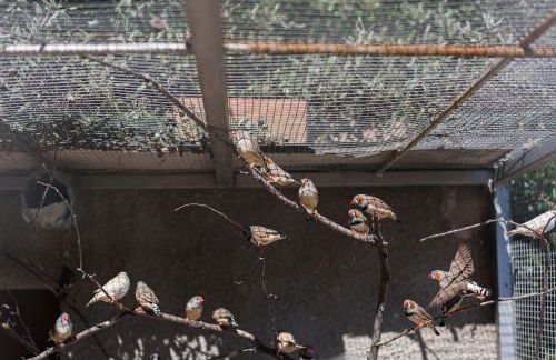 Mas El Brugué - Foto 29