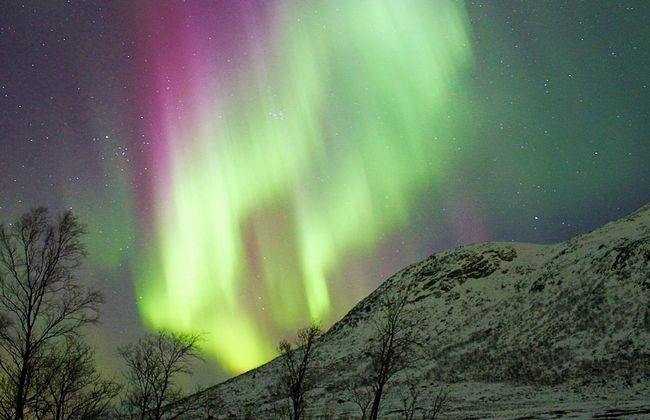 6 Person Holiday Home in Svensby - Foto 16