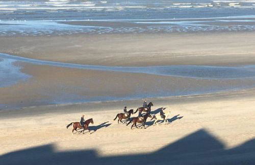 Entre dunes et mer - Foto 25