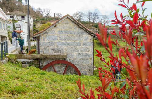 Azenha da Lavoura em Barrega - Foto 62