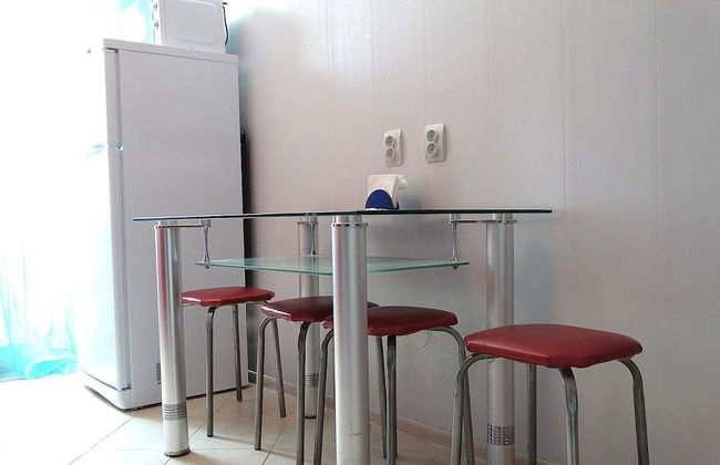 Inndays on Prospekt Lenina 157 - Photo 10