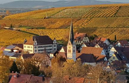 Apartment Weinbergglück - Foto 24