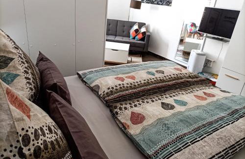 BodenSEE Apartment Meckenbeuren Neuhaldenstrasse - Foto 11