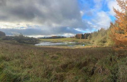 Cozy Cairnwell Farm Cottage - Foto 59