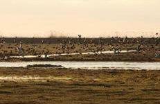 Kopice " Kowalczyk In Nature Parks Blue Velo" - Foto 44