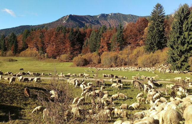 Casa Camilla Holiday - Photo 54