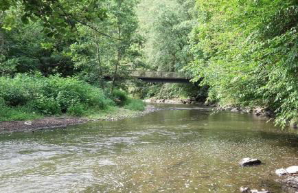 Ferienwohnungen "am Fürstenweg" - Foto 9