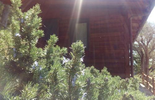 Azienda Agricola Biologica La Cardellina - Foto 66