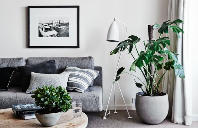 Cumberland Lorne Resort - Photo 43