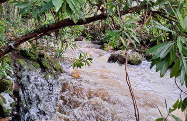 Ryan's Cottage - Photo 40