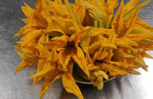 Agriturismo L'Albara - Wines, Pool & SPA - Foto 50