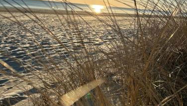 Ferienwohnung Wegner - Foto 5