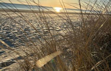 Ferienwohnung Wegner - Foto 5
