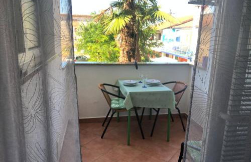 Apartments Vojvoda - Foto 27