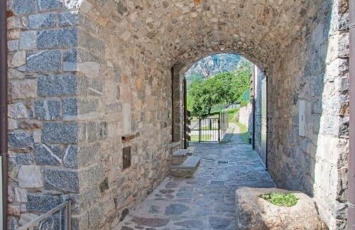 Il ciliegio sul lago - Photo 12