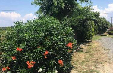 Lovely apartment by the sea 2 ….. - Foto 18