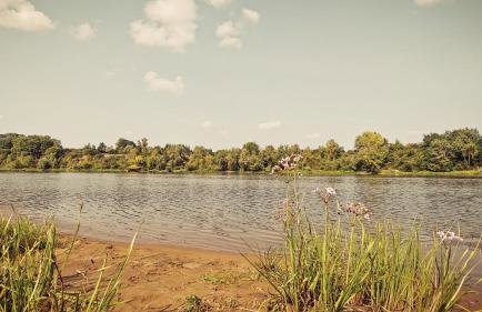 Masuria Warsaw - dom na wyłączność - w lesie i przy rzece - 15 min od Warszawy - Foto 71