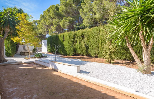 El Palmeral - Foto 47
