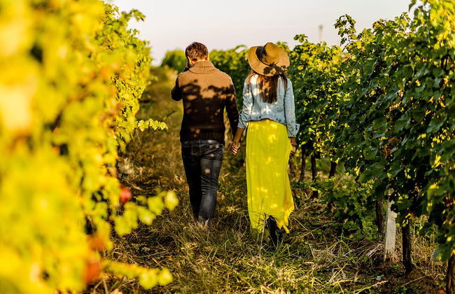 Langhe Wine & Food Tour au départ de Turin: Barolo et plus - Photo 6