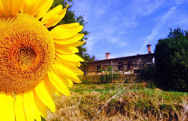 Welcome at Poggio Cantarello Country Home Tuscany - Foto 12