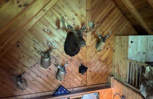 Halls Corner Lodge I Peaceful Woodland Escape - Foto 21