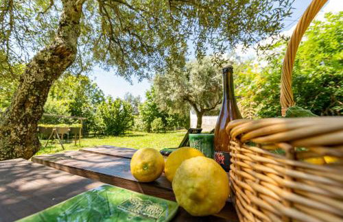 Casa da Eira "Lavoura da Bouça - Fruta Bio" - Foto 38