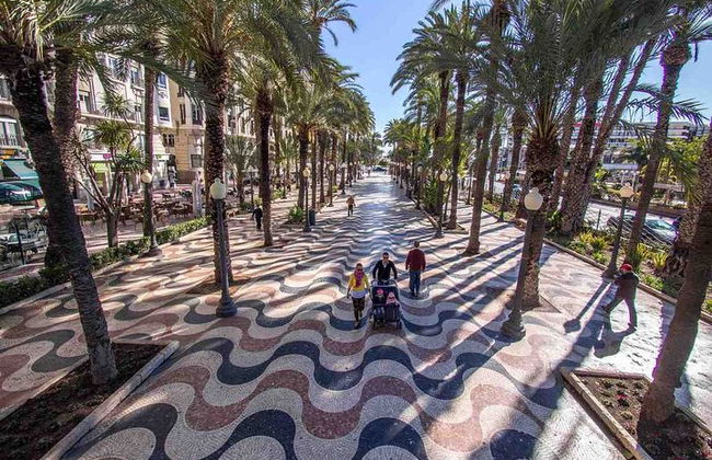 Explore o antigo centro da cidade de Alicante a pé - Foto 4