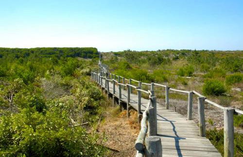 Casa dos Amigos - A luxury home in the nature - Foto 14