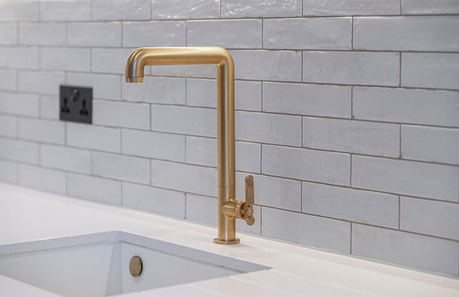 The Sessile - Photo 66