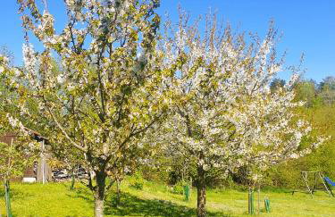 Siedlisko pod Aniołem - Foto 56