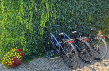 Kamień i Sowa - Foto 45