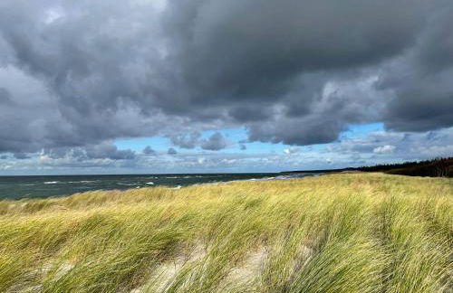 Ferienwohnung Born am Darßwald EG - Foto 18