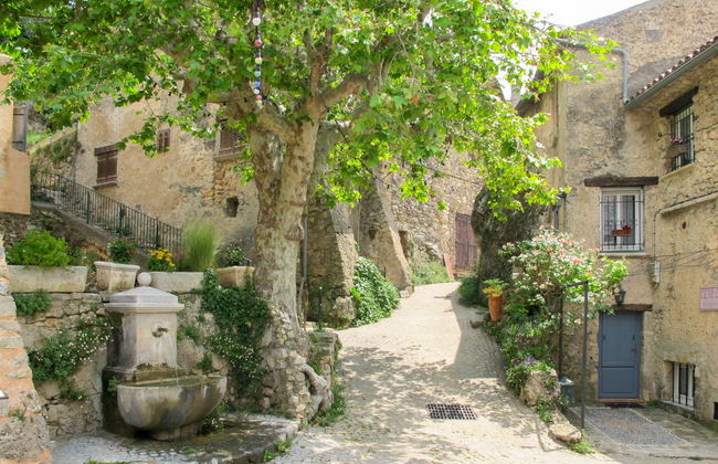 Le Mas du Magnoglia - Foto 32