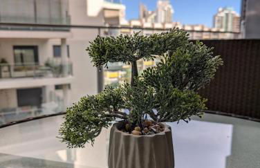 CALA ALTA apARTs by RB - Photo 30