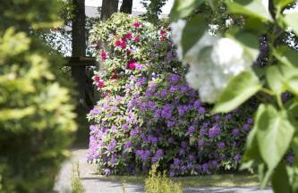 Ostehof Weertzen - Foto 31