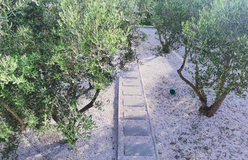 Kuća za odmor Kamenjani-Škabrnja - Foto 80