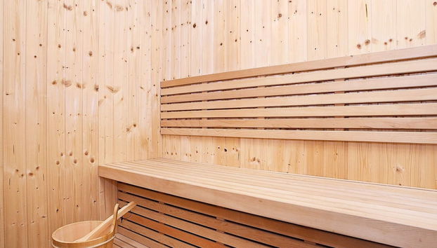 10 Person Holiday Home in Albaek - Photo 3, Sauna
