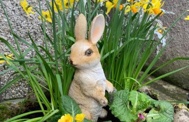 Tullyard House - Foto 21