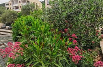 Apartman Franolic Punat - Foto 66