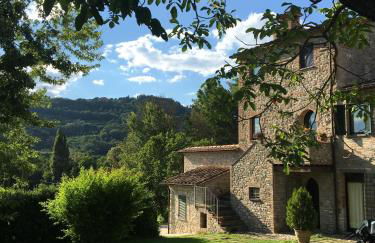 Agricola Caicucci - Foto 50