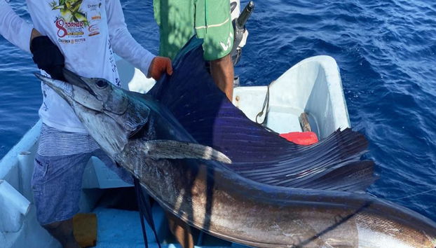 Experiencia de pesca deportiva en alta mar - Tour privado de medio día - Foto 4