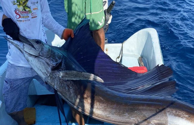 Experiencia de pesca deportiva en alta mar - Tour privado de medio día - Foto 4