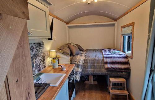 Cosy Owl - Shepherds Hut - Foto 13